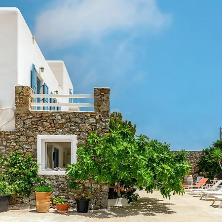 Afroditi Ftelia Yasemi B * Panormos (Mykonos)
